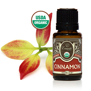Essential Oil: Cinnamon USDA 15ml