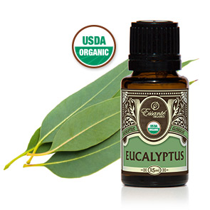 Essential Oil: Eucalyptus Globulus USDA 15ml 